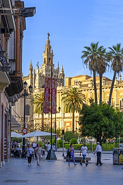 Seville Cathedral, Cathedral of Santa Maria de la Sede of Seville, former ancient Almohad mosque, Seville, Andalusia, Spain