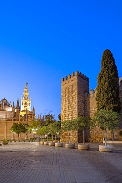 Alcazar of Seville, Seville, Andalusia, Spain