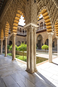 Alcazar of Seville, Seville, Andalusia, Spain