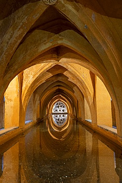 Baños de Doña María de Padilla, Baths of Doña María de Padilla, Alcazar of Seville, Seville, Andalusia, Spain