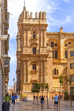 Cathedral of Malaga, Malaga, Andalusia, Spain