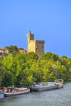 Avignon Tower, Rhone River, Avignon, Provence-Alpes-Côte d'Azur, Grand Avignon, Rhone Valley, France, UNESCO