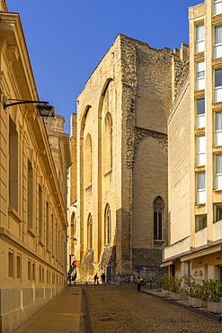 Avignon, Provence-Alpes-Côte d'Azur, Grand Avignon, Rhone Valley, France, UNESCO