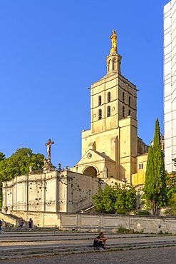 Cathedral, Avignon, Provence-Alpes-Côte d'Azur, Grand Avignon, Rhone Valley, France, UNESCO