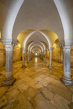 Cathedral, Trani, Barletta-Andria-Trani, Apulia, Italy