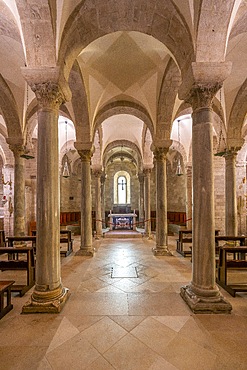 Crypt, Cathedral, Trani, Barletta-Andria-Trani, Apulia, Italy