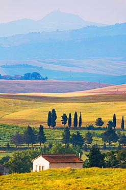 Surroundings, Pienza, Val d'Orcia, UNESCO World Heritage Site, Tuscany, Italy, Europe