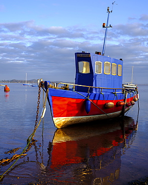 Boat moored on the shoreline of the calm Exe Estuary, Exmouth, Devon, England, United Kingdom, Europe