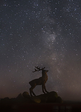 Star gazing, New Forest, Hampshire, England, United Kingdom, Europe