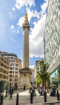 The Monument to the Great Fire of London in the City of London, London, England, United Kingdom, Europe