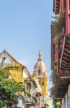 A view of the Cathedral of Cartagena (Metropolitan Cathedral Basilica of Saint Catherine of Alexandria), UNESCO World Heritage Site, Cartagena, Colombia, South America