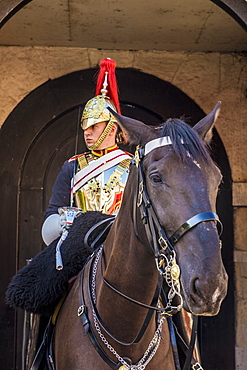 A Royal Guard at Horse Guards Parade, London, England, United Kingdom, Europe