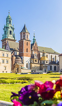 View of Wawel Cathedral at Wawel Royal Castle, UNESCO World Heritage Site, in the medieval old town, in Krakow, Poland, Europe