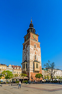 Town Hall Tower in the Main Square in the medieval old town, UNESCO World Heritage Site, Krakow, Poland, Europe