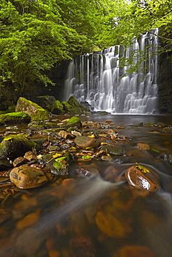 Scala Falls waterfall near Hebden, Wharfedale, Yorkshire Dales National Park, North Yorkshire, England, United Kingdom, Europe