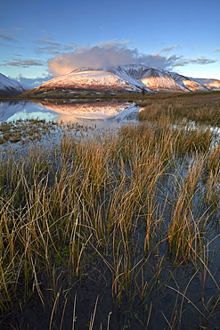 Snow covered Blencathra (Saddleback) reflected in Tewet Tarn near Keswick, Lake District National Park, UNESCO World Heritage Site, Cumbria, England, United Kingdom, Europe