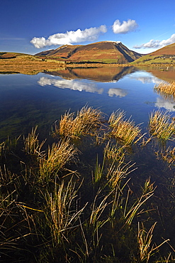 Lonscale Fell and Skiddaw reflected in the still water of Tewet Tarn, Lake District National Park, UNESCO World Heritage Site, Cumbria, England, United Kingdom, Europe