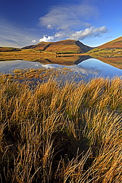 Lonscale Fell and Skiddaw reflected in the still water of Tewet Tarn in the Lake District National Park, UNESCO World Heritage Site, Cumbria, England, United Kingdom, Europe