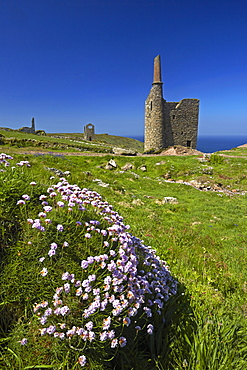 The ruins of Wheal Owles tin mine on the cliff tops near Botallack, Cornwall, England, United Kingdom, Europe