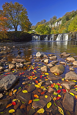 Autumn at Wainwath Falls with Cotterby Scar in the distance, near Keld, Swaledale, Yorkshire Dales, North Yorkshire, England, United Kingdom, Europe