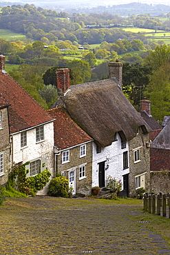 Classic English cottages besides the cobbled street of Gold Hill, Shaftesbury, Dorset, England, United Kingdom, Europe