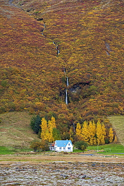 Icelandic house in autumn set in the Skaftafell National Park, South of Iceland, Iceland, Polar Regions