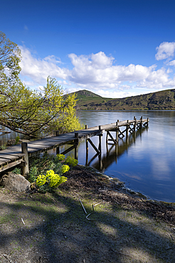 Old wooden jetty at Lake Hayes, Wakatipu Basin in Central Otago, South Island, New Zealand, Pacific