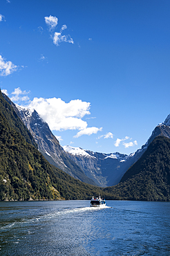 Tourist cruise ship at Milford Sound, Fiordland National Park, UNESCO World Heritage Site, South Island, New Zealand, Pacific