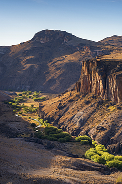 Tree lined river in Pinturas Canyon, Patagonia, Argentina, South America