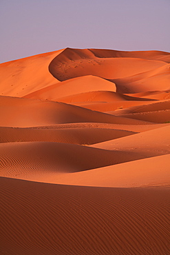 Sand dunes, Sahara Desert, Morocco, North Africa, Africa