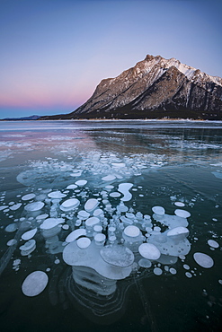 Trapped Methane gas bubbles at Lake Abraham, Kootenay Plains, Alberta, Canadian Rockies, Canada, North America