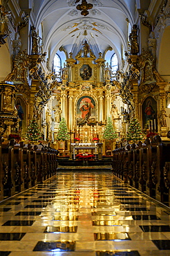 Interior of The Collegiate Church of St. Florian Krakow, Krakow, Poland, Europe