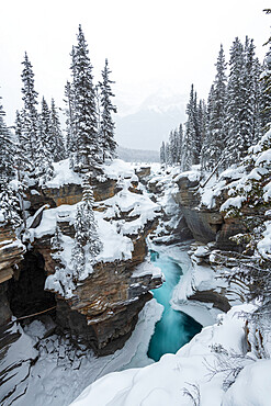 Partly frozen Athabasca Falls in mid-winter, Banff National Park, UNESCO World Heritage Site, Alberta, Canada, North America