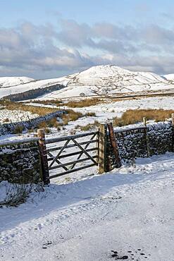 Winter scene with view of Shutlingsloe, Wildboarclough, Cheshire, England, United Kingdom, Europe