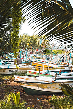 The fishing boats at Galle, Sri Lanka, Asia