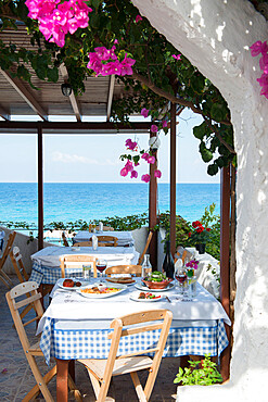 Greek Restaurant in Ialyssos, Rhodes, Dodecanese, Greek Islands, Greece, Europe