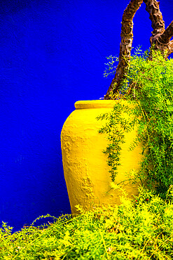 Majorelle Gardens, Marrakech, Morocco, North Africa, Africa