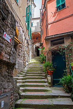 Hiking trail between Monteroso and Vernazza, Cinque Terre, UNESCO World Heritage Site, Liguria, Italy, Europe