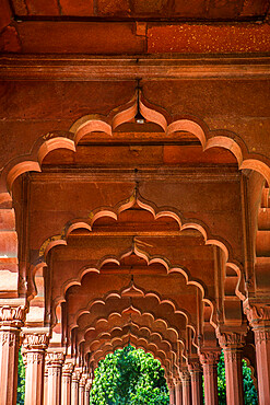 Diwan-i-Aam audience hall, Red Fort, UNESCO World Heritage Site, Delhi, India, Asia