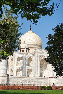 Taj Mahal, UNESCO World Heritage Site, Agra, Uttar Pradesh, India, Asia