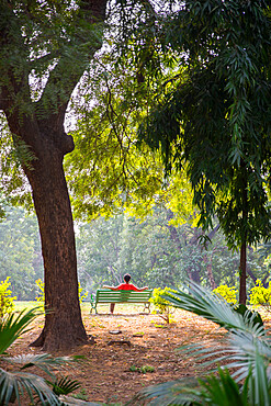 Lodhi Garden, New Delhi, India, Asia