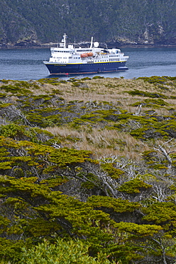 National Geographic / Lindblad Explorer, Isla de Los Estados (Staten Island), Tierra del Fuego, Argentina