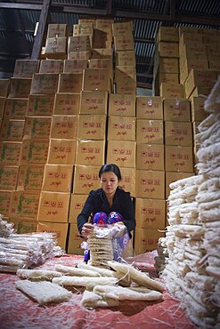 Making noodles in a noodle factory at night in Hsipaw, Thibaw, Shan State, Myanmar, Burma