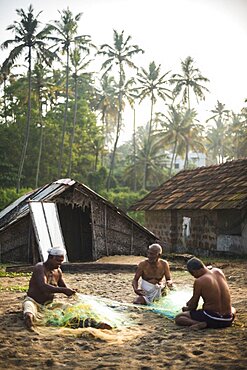 Fishermen mending fishing nets under tropical palm trees at sunrise at Kappil Beach, Varkala, Kerala, India