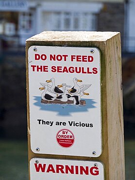 Do not feed the seagulls sign, Looe, Cornwall, UK