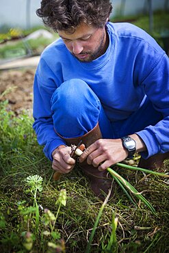 Organic farming