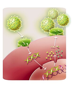 Aids Virus Infection, Drawing