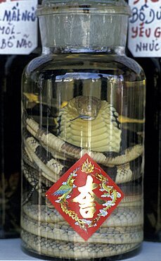 Vietnam, Chinese malaria medicine based on cobra