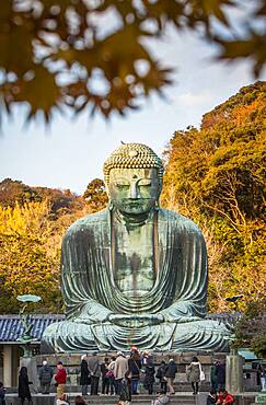 The Daibutsu (bronze Great Buddha). Kotoku-in Temple, Kamakura, Japan