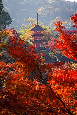 Pagoda, in Kiyomizu-dera temple, Kyoto. Kansai, Japan.